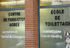 Film dépoli et lettrage adhésif sur vitrine film-depoli-lettrage-adhesif-sur-vitrine.jpg