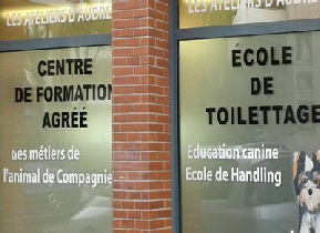 Film dépoli et lettrage adhésif sur vitrine film-depoli-lettrage-adhesif-sur-vitrine.jpg