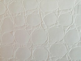 film-decoratif-alligator-blanc.jpg