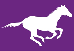 Stickers décoratif - Cheval, pour camping-car, voiture... sticker-cheval.jpg