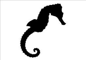 Sticker adhésif - Hippocampe sticker-hippocampe.jpg