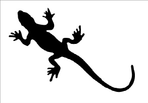 Stickers décoratif - Salamandre sticker-salamandre.jpg