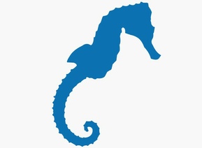 Sticker adhésif Hippocampe sticker-hippocampe.jpg