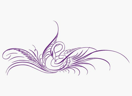 Décoration adhésive - Motif Oiseau Design decoration-oiseau-design.jpg