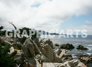 Reproduction photo - Côte californienne reproduction-photo-cote-californienne.jpg