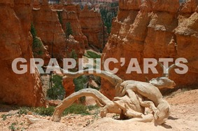 reproduction-photo-canyon-americain.jpg