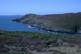Reproduction photographie - Lande et Mer reproduction-lande-et-mer.jpg