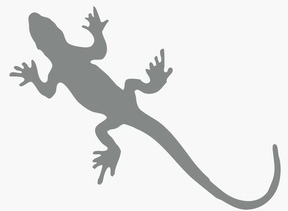 Sticker Salamandre pour camping-car sticker-salamandre.jpg