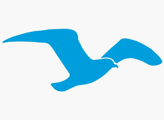Sticker Goeland sticker-goeland.jpg