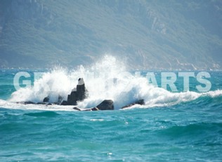 Reproduction photo - Récifs reproduction-photo-recifs.jpg
