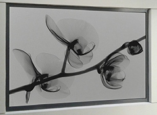 Adhésif micro-perforé pour surfaces vitrées micro-perfore.jpg