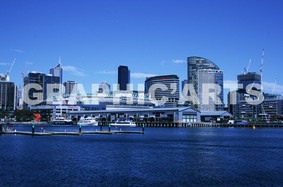 reproduction-melbourne.jpg