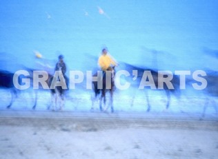 Reproduction photo - Camargue reproduction-photo-camargue.jpg