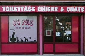 Conseils pour bien décorer la vitrine de sa boutique