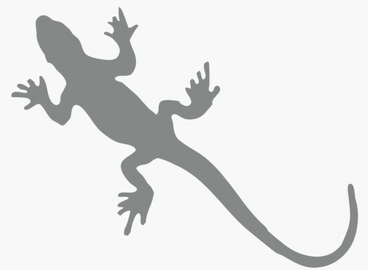 Sticker Salamandre pour camping-car sticker-salamandre.jpg