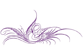 Décoration adhésive pour vitre - Motif Oiseau design decoration-adhesive-oiseau-design.jpg