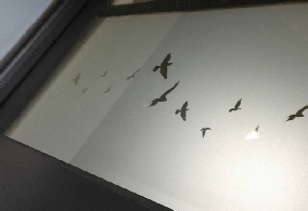 film-occultant-personnalise.jpg