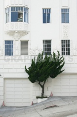 reproduction-photo-force-du-vent.jpg