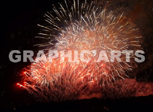 reproduction-photo-camargue.jpg