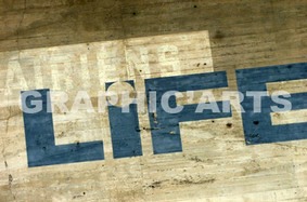 reproduction-photo-life.jpg