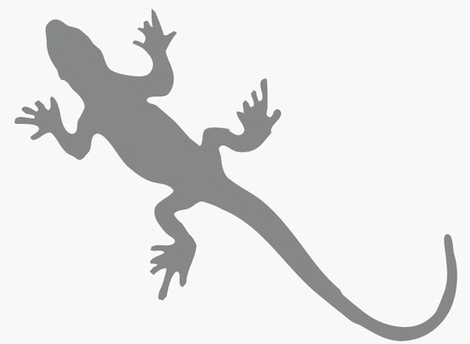 Sticker Salamandre pour camping-car sticker-salamandre.jpg