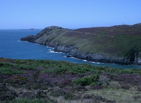 Reproduction photo - La Lande et la Mer reproduction-photo-lande.jpg