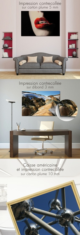 Reproductions photographies reproductions-photographies.jpg