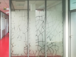 Dépoli sur-mesure avec motifs décoratifs depoli-sur-mesure-motifs-decoratifs.jpg