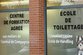 Conseils pour bien décorer la vitrine de sa boutique