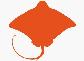 Sticker Raie - Adhésif découpé, sans fond sticker-raie.jpg