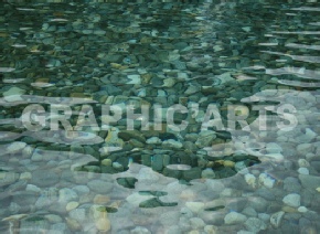 Tapisserie murale - Galets sous l'Eau tapisserie-murale.jpg