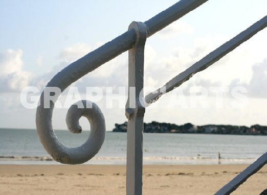 reproduction-photo-camargue.jpg