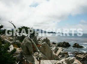 reproduction-photo-cote-californienne.jpg