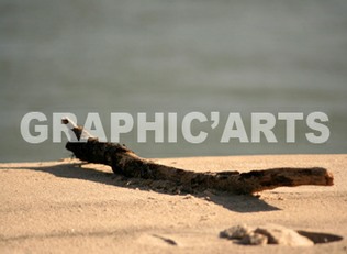 Reproduction photo - La Plage reproduction-photo-plage.jpg