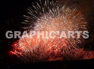 reproduction-photo-camargue.jpg