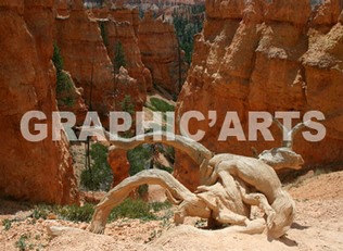 Reproduction photo - Canyon américain reproduction-photo-canyon-americain.jpg
